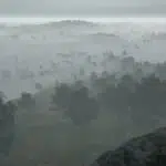 brouillard pubg coline montagne pubg