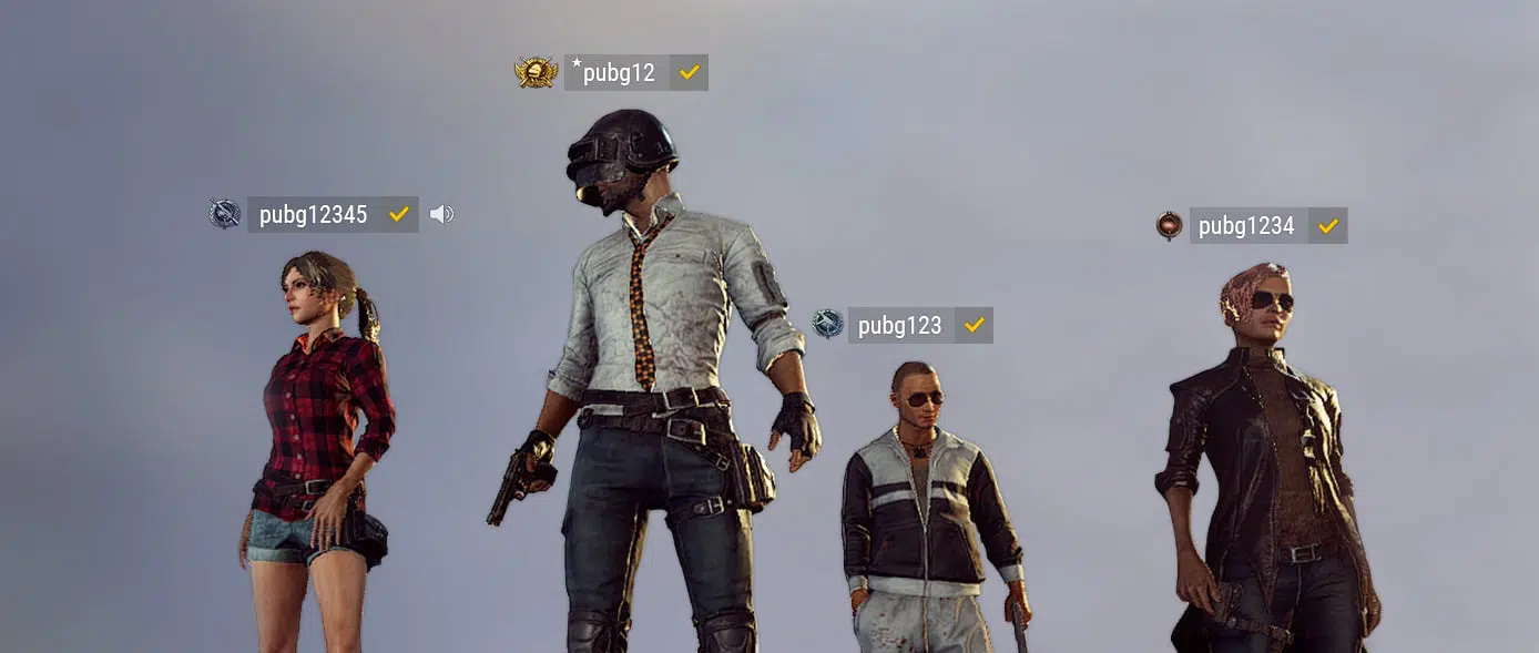 mainlobby id hud crop